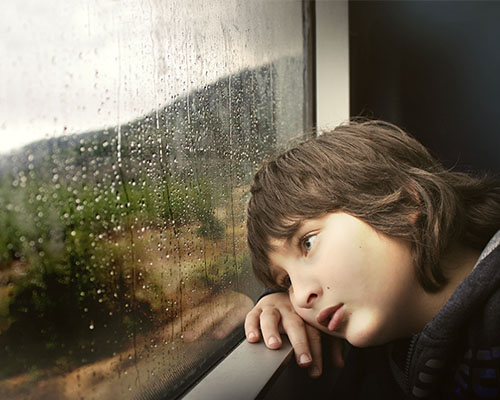 网站攻击软件工具